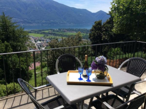 Bellaterra A by Fewotessin Locarno